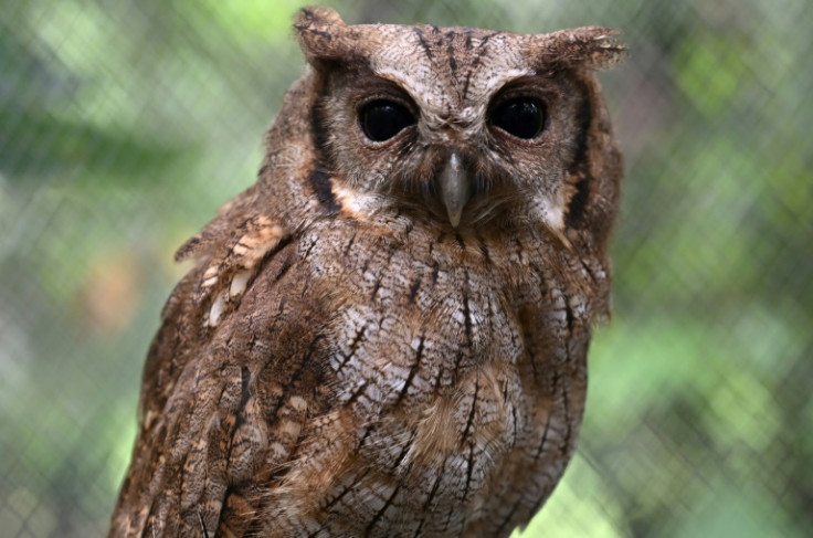 Birds, too, are cared for at the reserve in San Jose de Guaviare in southern Colombia