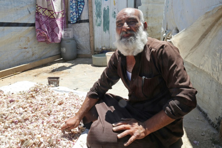 Syrian refugee Ibrahim al-Korbaw, 48, peels garlic with the help of his children to earn around $20 extra a week