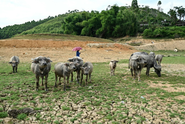 'If things continue like this, I'm afraid we won't have water to use for our daily life,' one resident told AFP