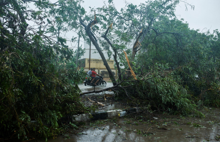 People ride past a fallen tree during the aftermath of Cyclone Biparjoy after it made landfall, in Bhuj