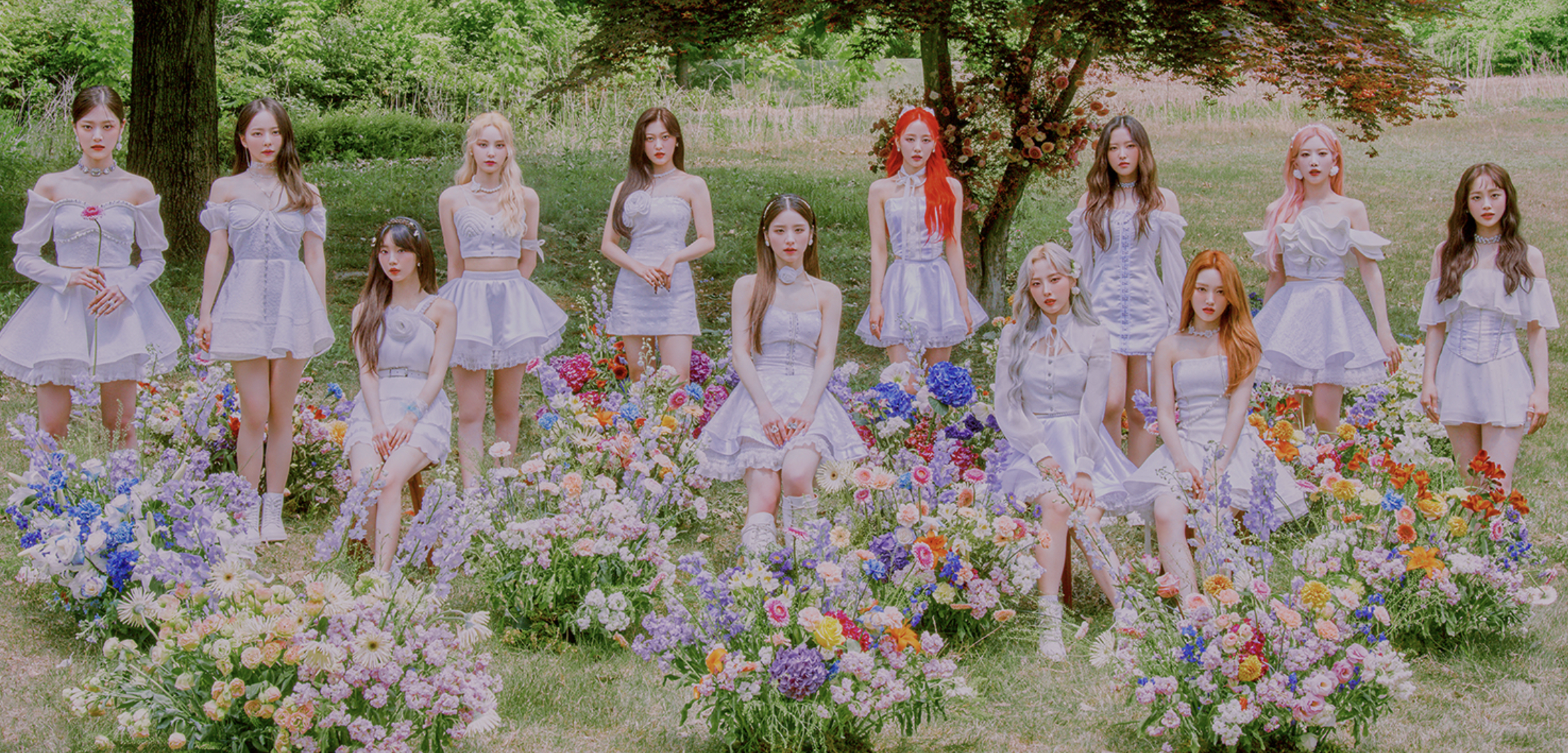 Other agencies. Loona RPG.