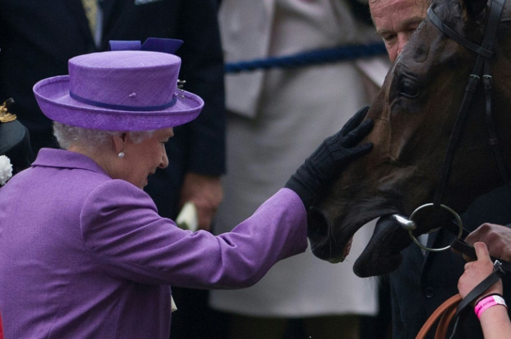 Britain's Queen Elizabeth II greets her 2013 Gold Cup winner Estimate