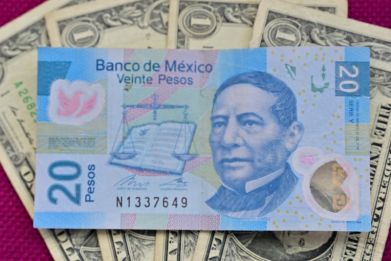 The Mexican peso is among the world's best performing currencies this year