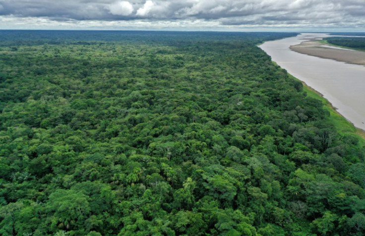 The Amazon river, part of which can be seen here in Colombia, is the biggest river in the world by volume - but is it the longest?