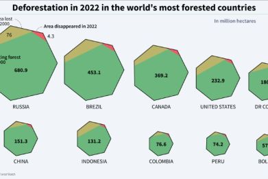 Graphic showing forest area and forest area lost from 2000 to 2021 and in 2022 in the ten countries with the most forested area, according to Global Forest Watch