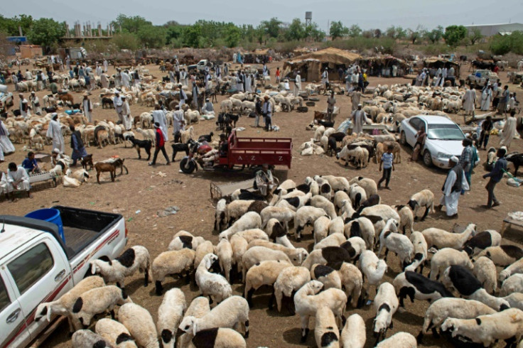 People gather at a livestock market ahead of the Muslim feast of Eid al-Adha in Al-Hasaheisa, south of Khartoum