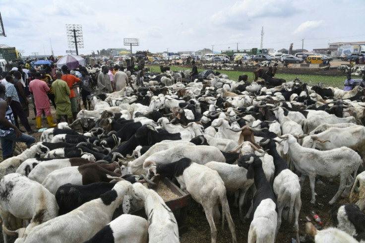 Nigeria's high cost of living meant that ram were out of budget for some during the Muslim festival of Eid al-Adha