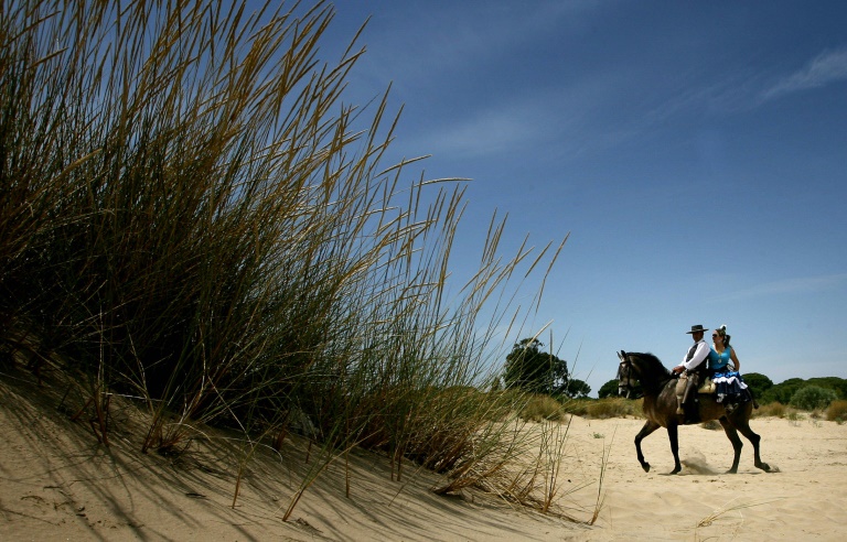 Trial Over Spanish Ecological Disaster Starts, 25 Years On