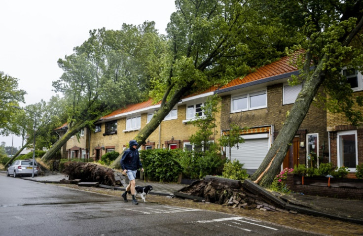 One woman was killed when a tree fell on her car as Storm Poly hit the Netherlands