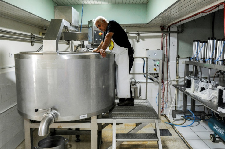 'Tamgout' cheese, a blend of the Swiss Gruyere and Dutch Gouda styles, has become a source of pride in the north African country
