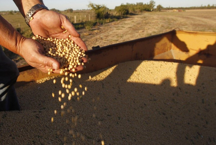 Soybeans