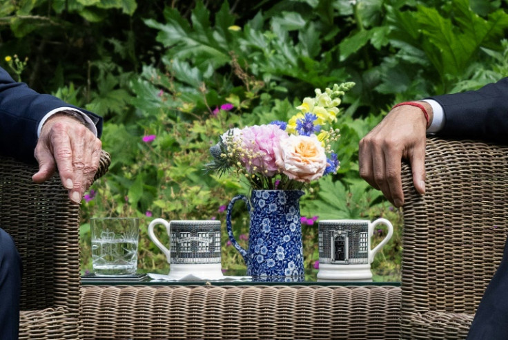 The pair held talks in the Downing Street garden
