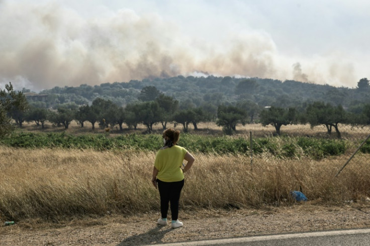 Greece has suffered wildfires during its heatwave
