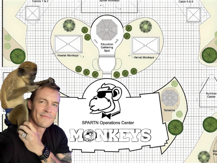 The Monkeys Token Story