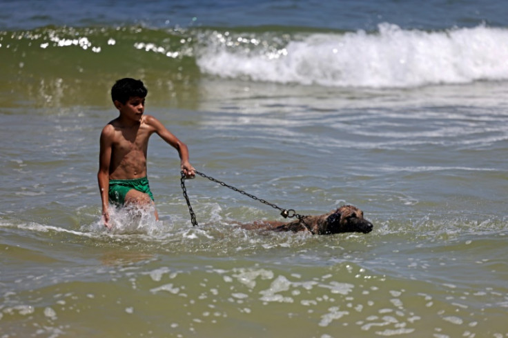A Palestinian boy and his dog walk in the seawater amidst soaring temperatures in Gaza City