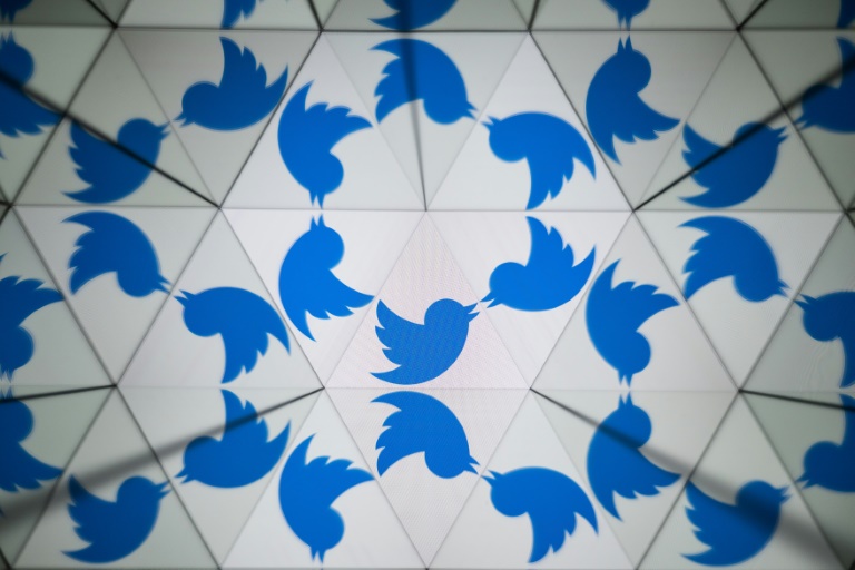 Musk Suggests Twitter’s Bird Logo Might Be Changed