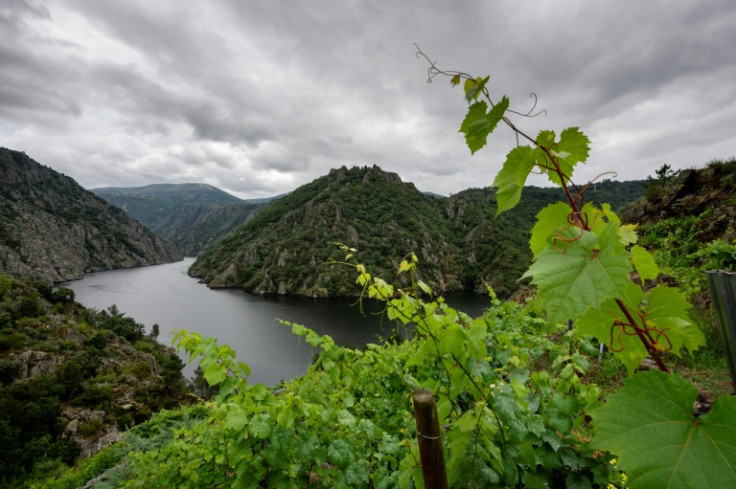 Alberto Nunez Feijoo grew up in a rural village in Galicia, one of Spain's regions best known for its rivers and mountains