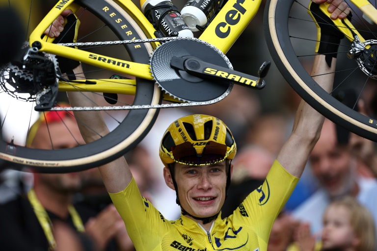 tour de france manufacturer wins