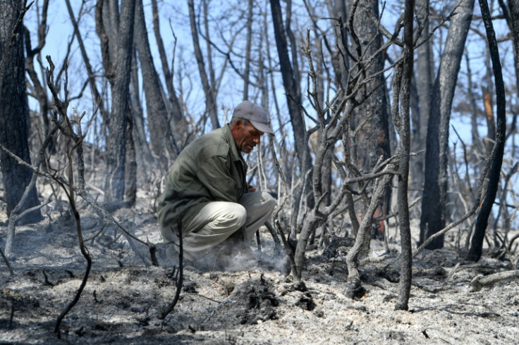 A wildfire in Tunisia near the border with Algeria has forced the evacuation of hundreds of Melloula residents