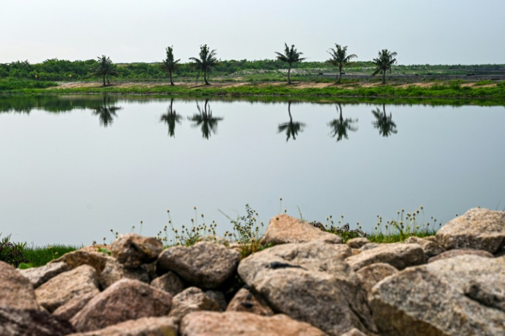 The verdant island's lush greenery attracts a variety of wildlife