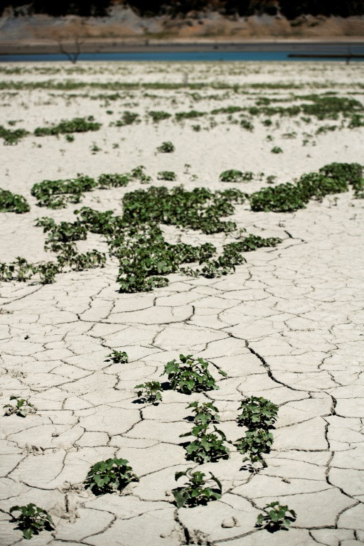 The Mediano reservoir in Huesca province has been severely hit by drought
