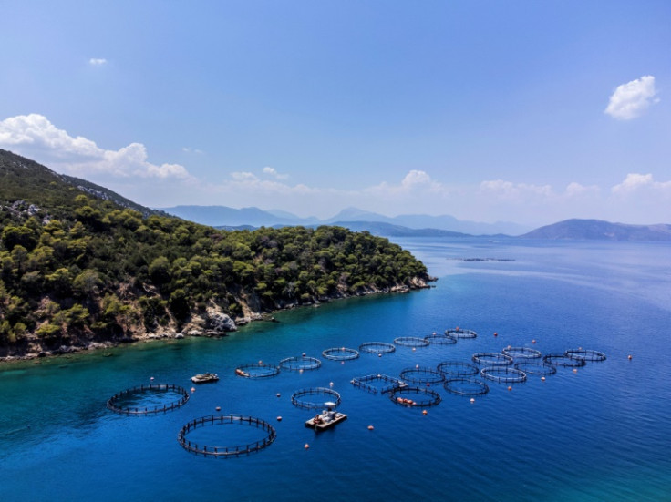 Some fishermen see the plan as 'a necessary evil' -- as long as they do not encroach upon tourist areas