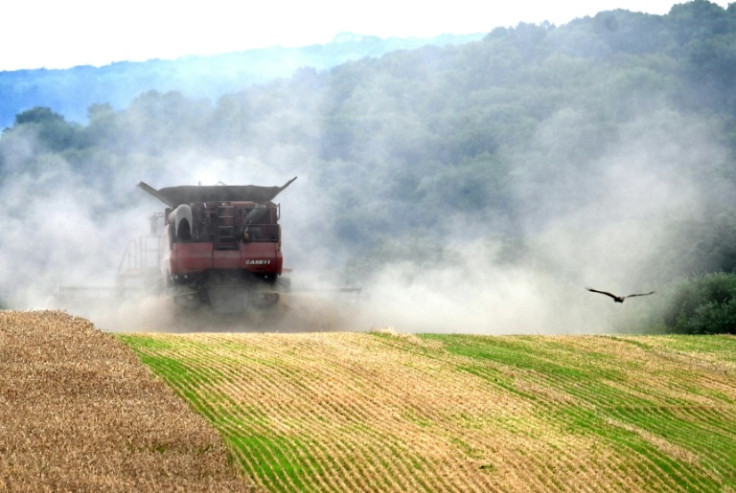 Ukrainian grain exports, crucial to global food supplies, have struggled as Russia targets port infrasturcture