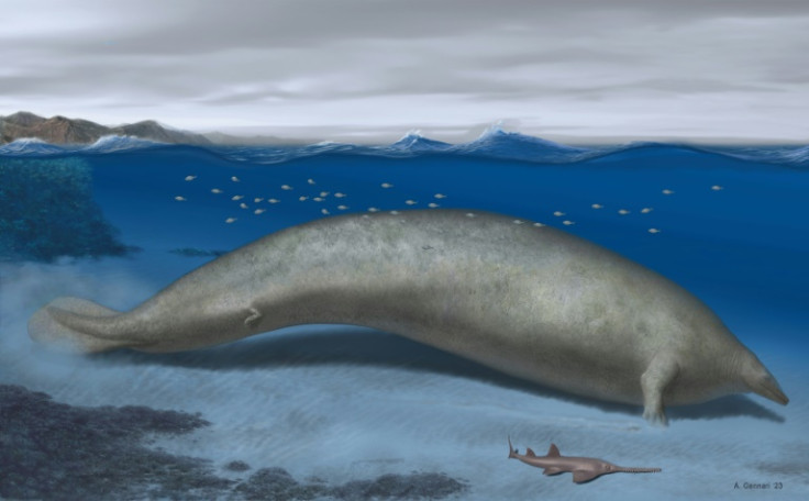 An artist's illustration of Perucetus colossus, an ancient whale discovered in Peru that scientists think could be the heaviest animal to have ever lived