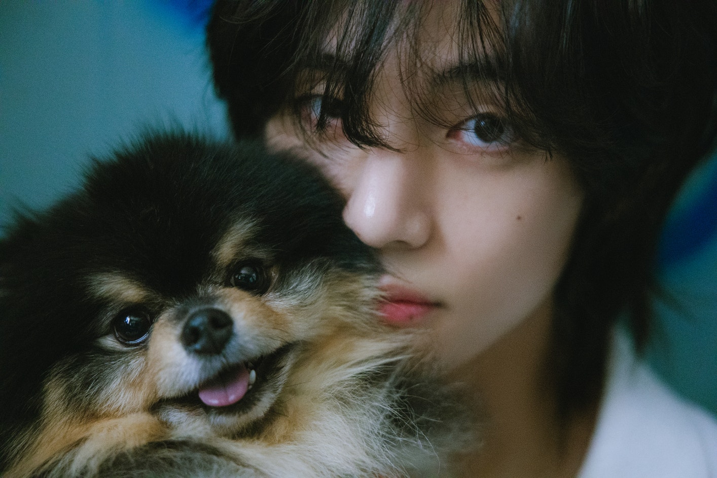 191230 BTS's V and his dog Yeontan Birthday photoshoot by Naver x Dispatch  | kpopping