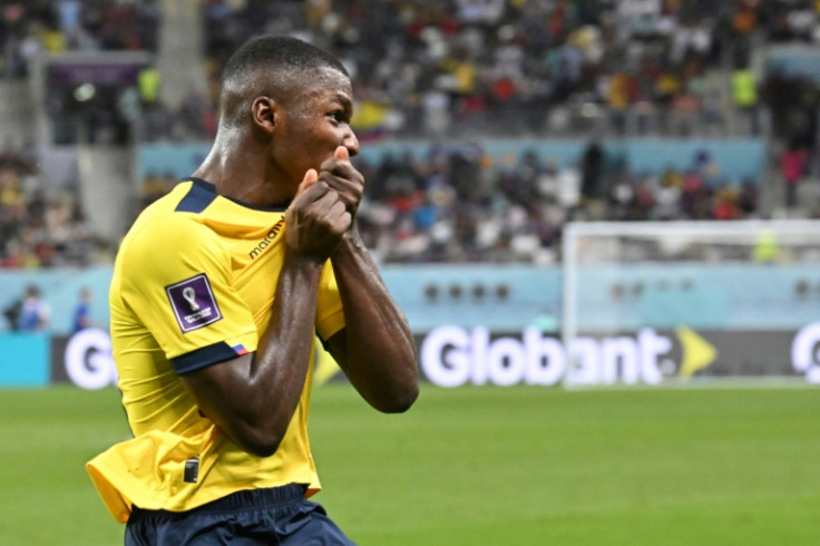 Moises Caicedo celebrates after equalising for Ecuador against Senegal in the 2022 World Cup