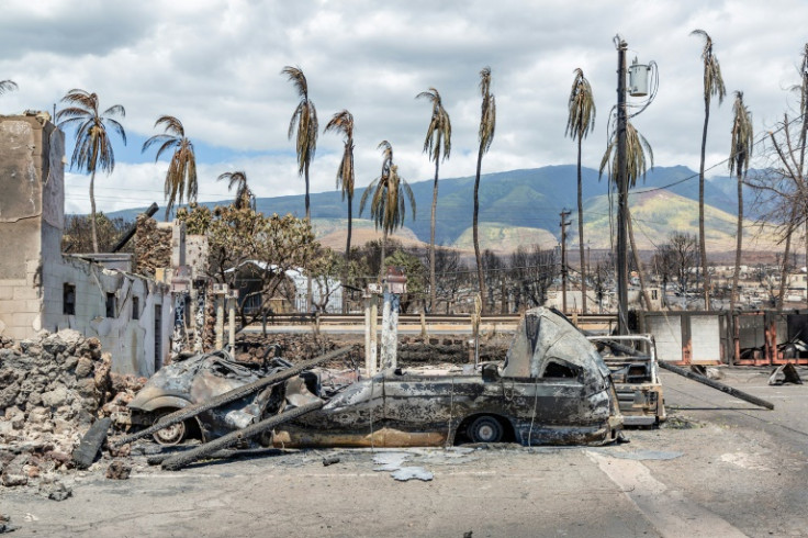 Burned palm trees and destroyed cars and buildings in the aftermath of a wildfire in Lahaina