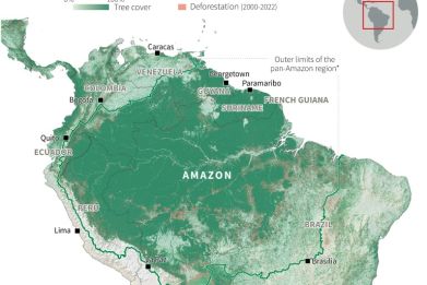Map showing the current forest area in the Amazon and the deforestation since 2000