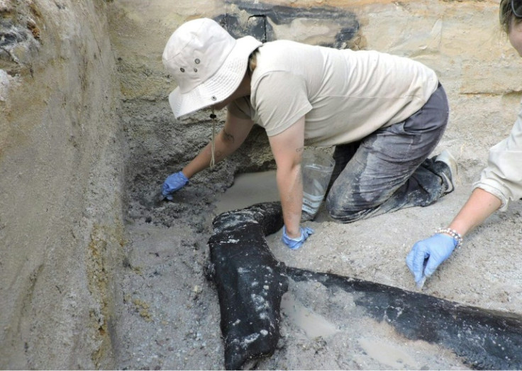 Archaeologists excavating the prehistoric wooden structure at Kalambo Falls in Zambia