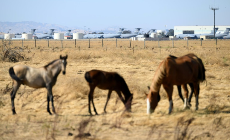 Flannery Associates said on its recently launched website that it has acquired more than 50,000 acres (20,200 hectares) of land for its California Forever project