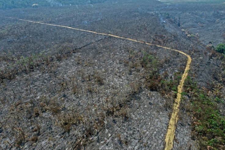 Activists and officials say the area was torched by land-grabbers trying to reclaim the territory for cattle pasture