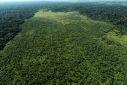 Razing protected rainforest for pasture is an illegal but lucrative business in Brazil, the world's top beef exporter