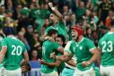 Ireland's players celebrate a hard-fought win against South Africa