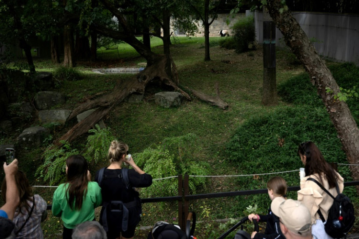 Thousands are expected to visit the Smithsonian National Zoo's week-long 'Panda Palooza' to say goodbye and catch a final glimpse of the pandas