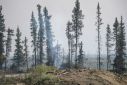 Canada's fires were fueled by drier and hotter conditions caused by climate change -- and by releasing greenhouse gasses into the atmosphere, these fires in turn contribute to global warming