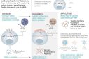 Graphic explaining discoveries made by the winners of the 2023 Nobel Prize in Medicine, Katalin Kariko and Drew Weissman