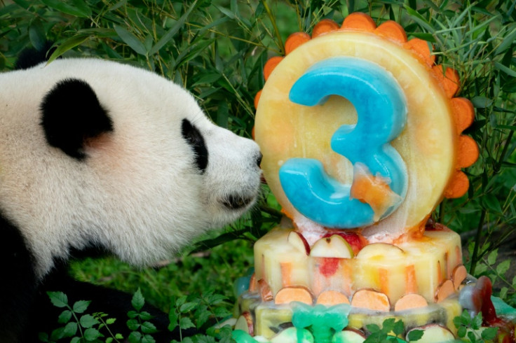 US zoos have vigorously denied allegations of mistreating pandas.
