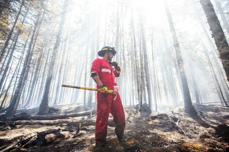 This photo provided by the province of Nova Scotia shows a firefighter battling a forest blaze near Tantallon on May 30, 2023