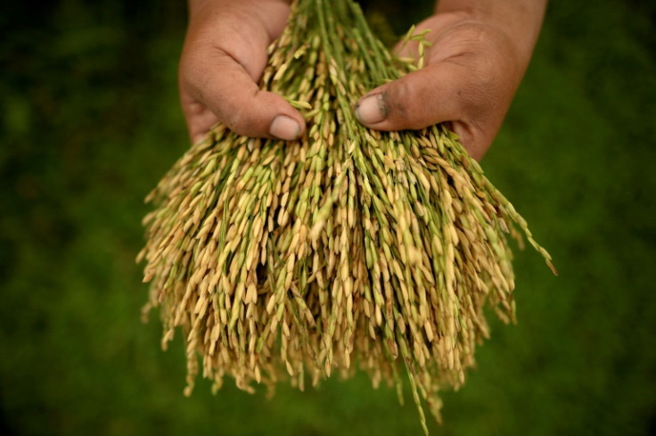 Rice is a staple in the country of 110 million people
