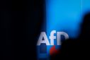 The far-right AfD party could make gains in the state polls