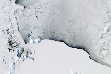 Ice shelves act as giant 'plugs' at the end of glaciers and stabilise them