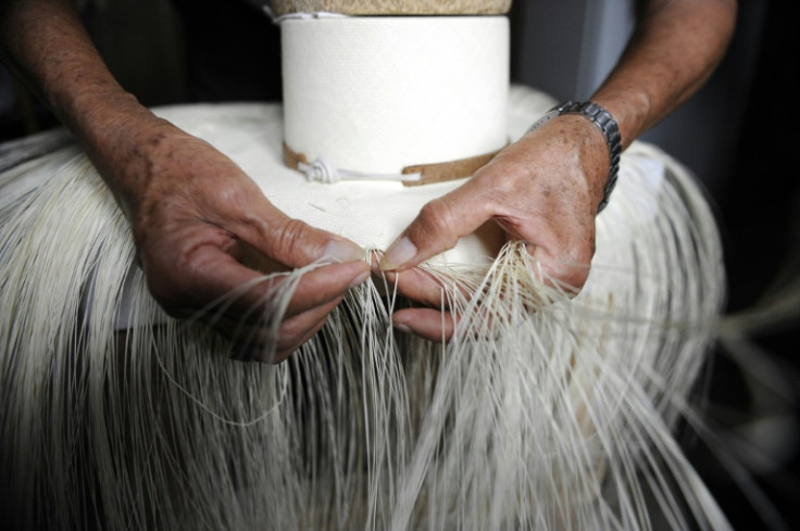 An Ecuadoran craftsman weaves a "toquilla" straw hat -- better known as Panama