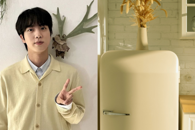 BTS Jin as refrigerators