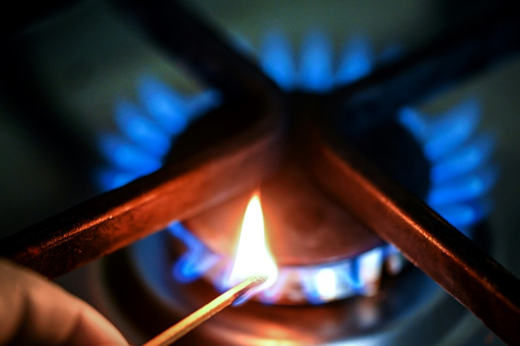Since Moscow's invasion of Ukraine in February last year, European countries have scrambled to replace lost deliveries of natural gas from Russia