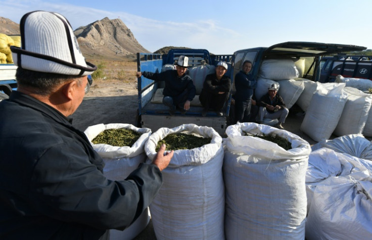 A nasvay seller in a market in Batken, Kyrgyzstan