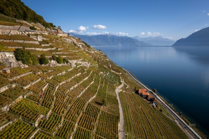 The Lavaux terraced vineyards above Lake Geneva are a UNESCO world heritage site